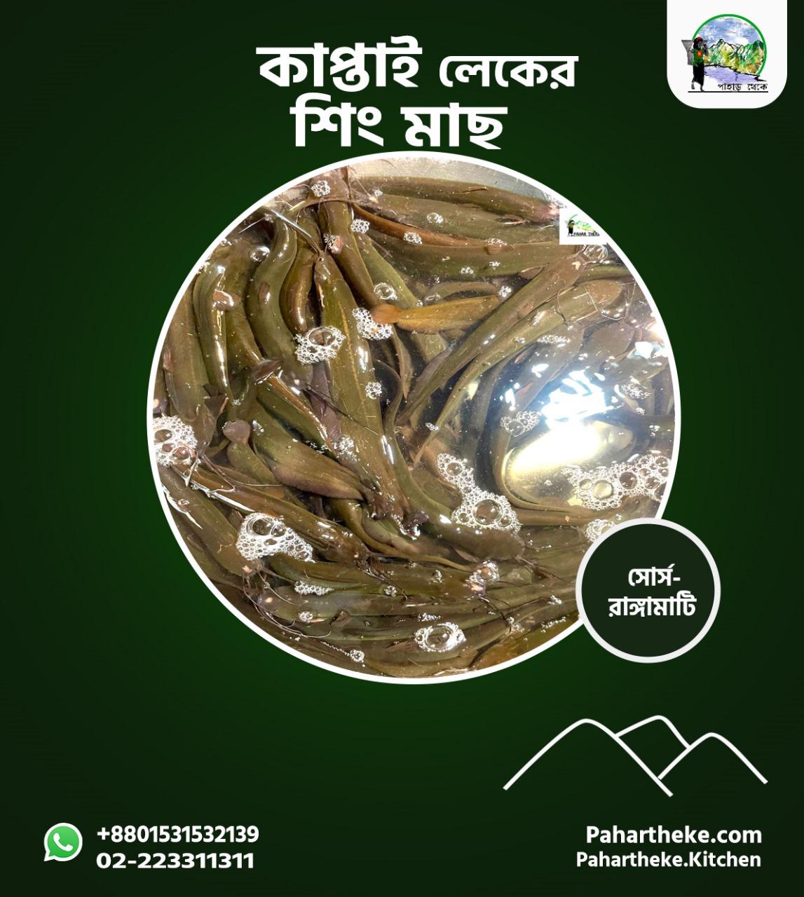 কাপ্তাই লেকের দেশি শিং