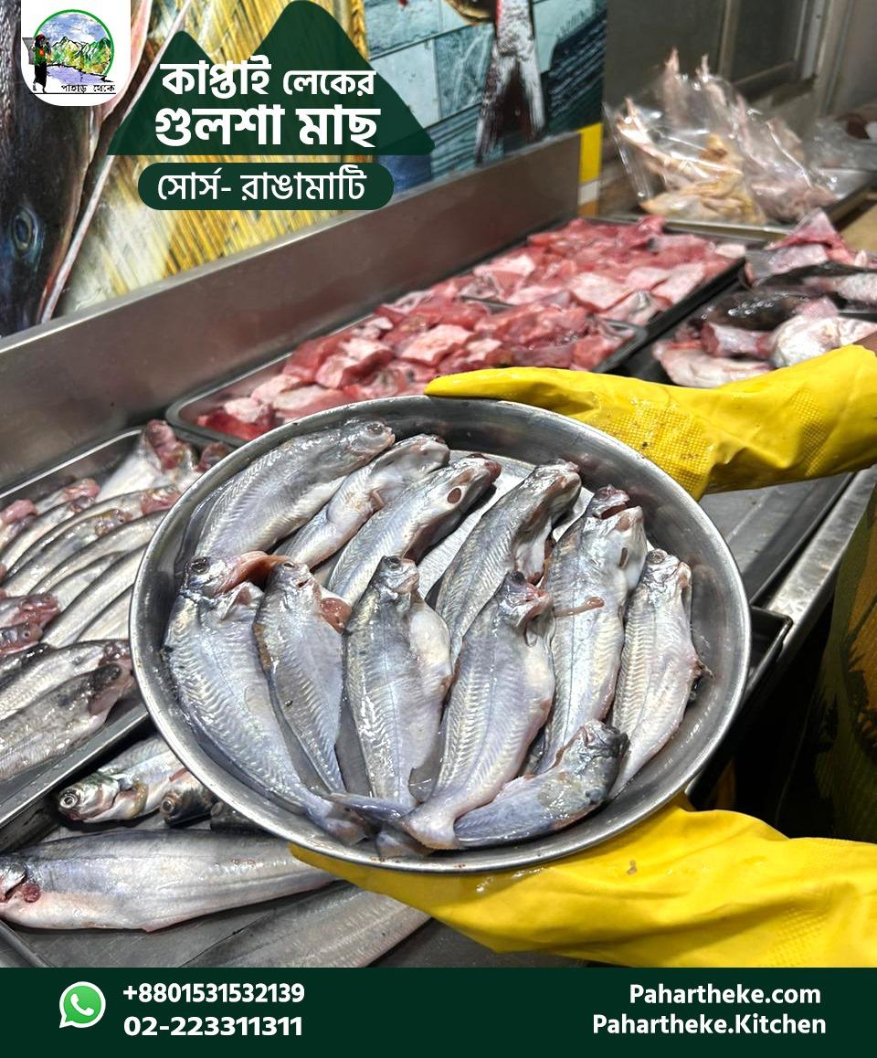 কাপ্তাই লেকের গুলশা।