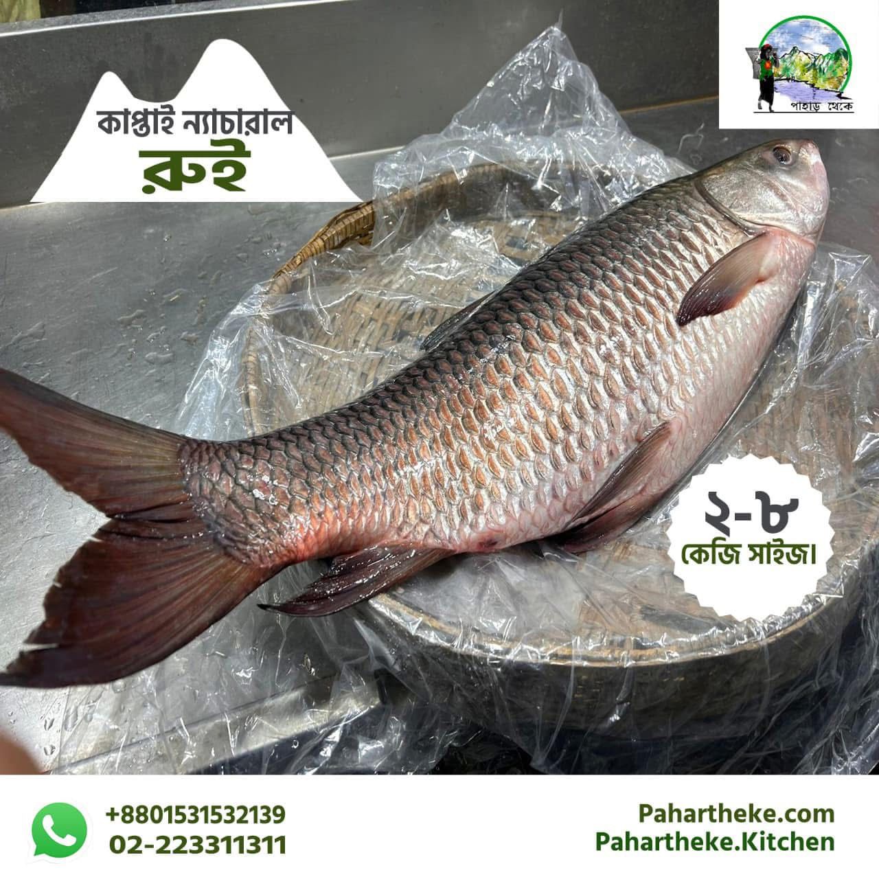 Rui fish - রুই মাছ | Kaptai Lake fish | - Pahar Theke